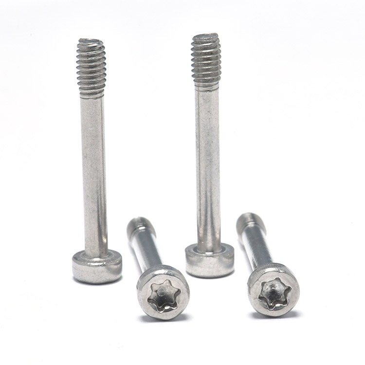 Vis imperdables à tête cylindrique à douille Torx (4)