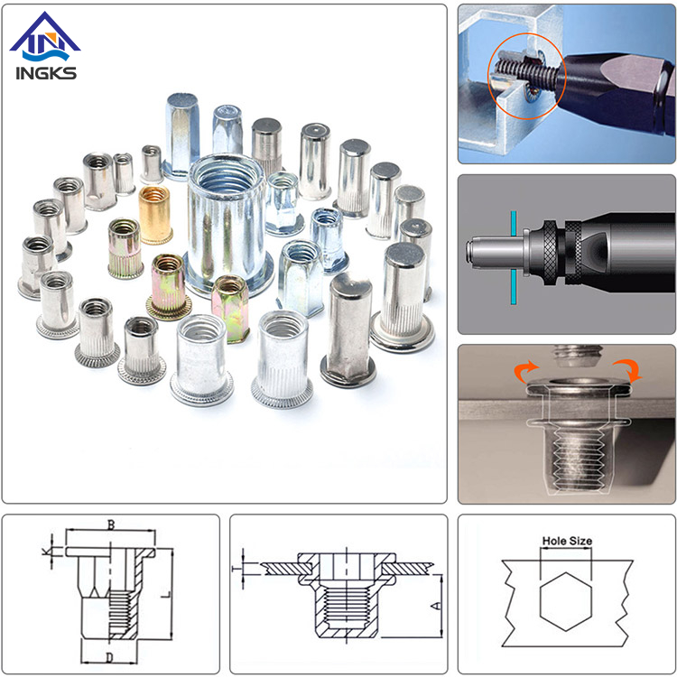 Acier inoxydable 304 316 Écrous à rivets à extrémité ouverte à corps simple à tête réduite 